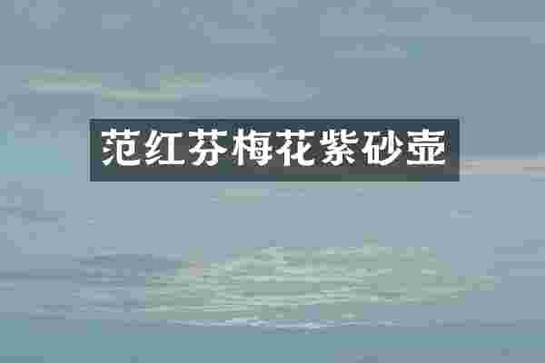 范红芬梅花紫砂壶