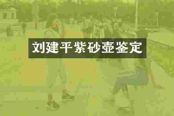 刘建平紫砂壶鉴定