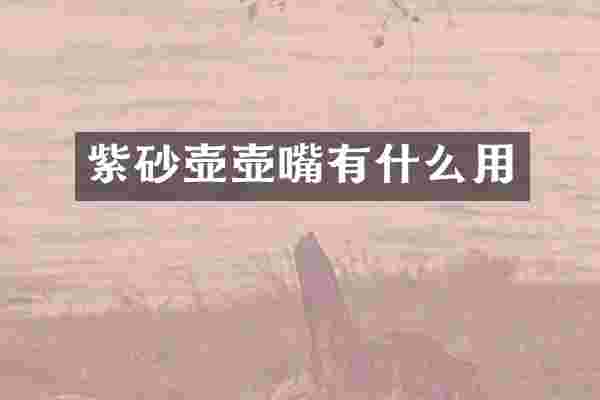 紫砂壶壶嘴有什么用