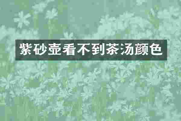 紫砂壶看不到茶汤颜色