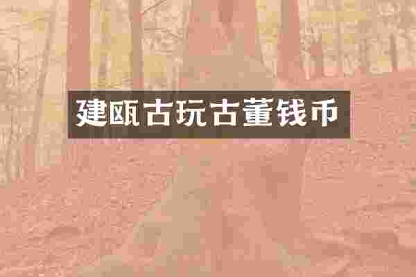 建瓯古玩古董钱币