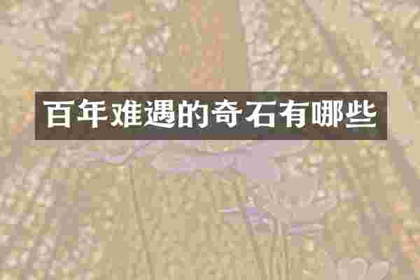百年难遇的奇石有哪些