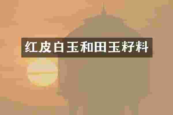 红皮白玉和田玉籽料