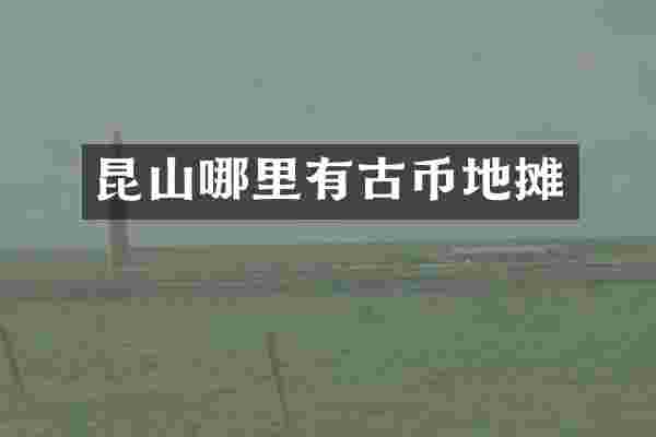 昆山哪里有古币地摊