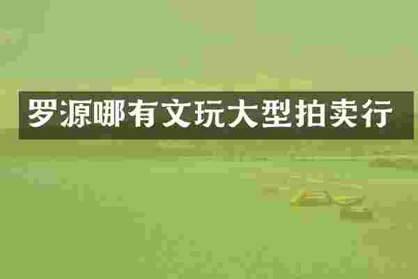 罗源哪有文玩大型拍卖行