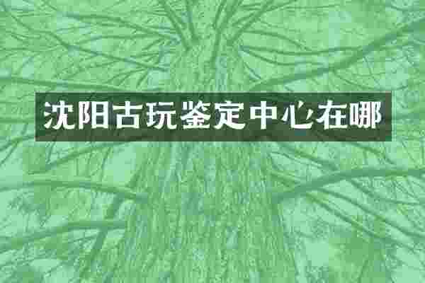 沈阳古玩鉴定中心在哪