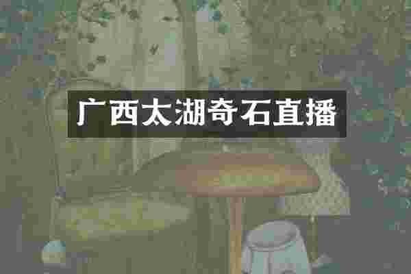 广西太湖奇石直播