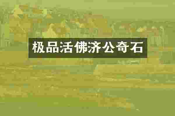 极品活佛济公奇石