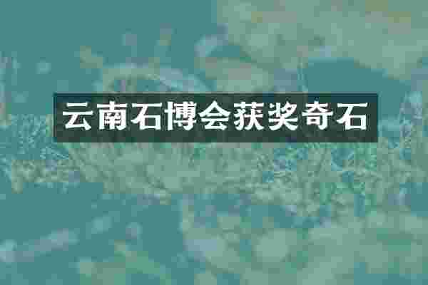 云南石博会获奖奇石