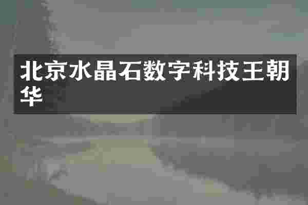 北京水晶石数字科技王朝华