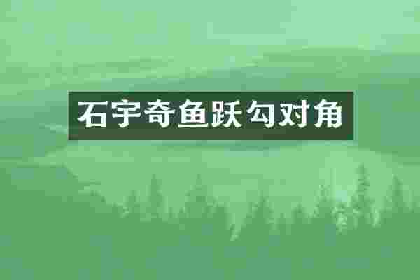 石宇奇鱼跃勾对角