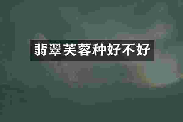 翡翠芙蓉种好不好