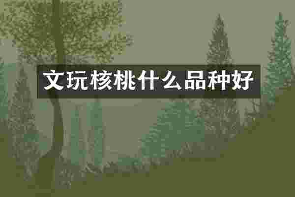 文玩核桃什么品种好