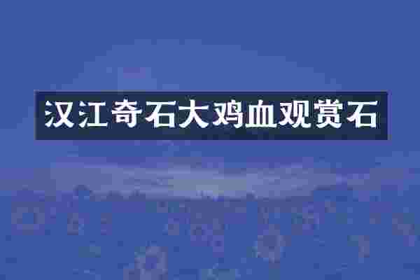 汉江奇石大鸡血观赏石