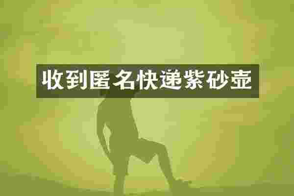 收到匿名快递紫砂壶