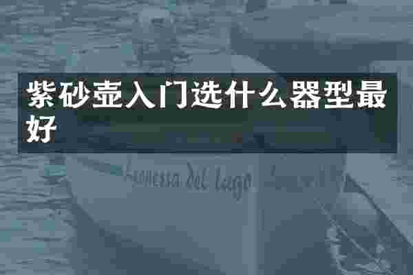 紫砂壶入门选什么器型最好