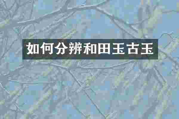 如何分辨和田玉古玉