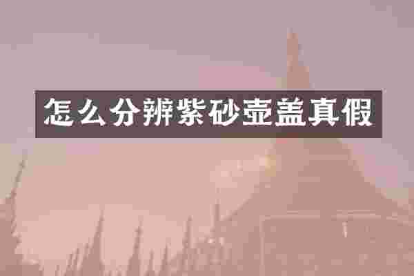 怎么分辨紫砂壶盖真假