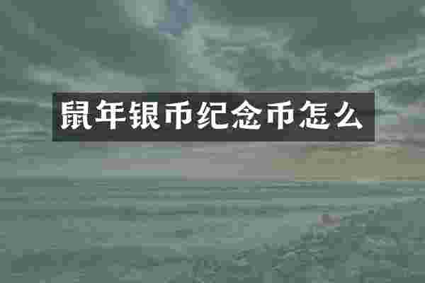 鼠年银币纪念币怎么