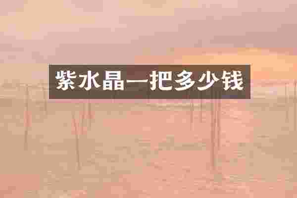 紫水晶一把多少钱