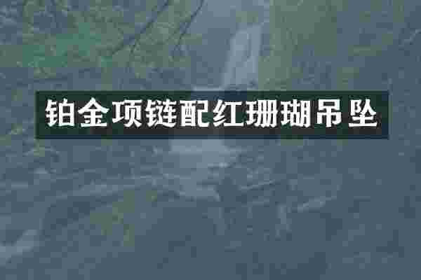 铂金项链配红珊瑚吊坠