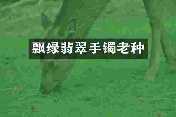 飘绿翡翠手镯老种