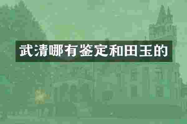武清哪有鉴定和田玉的