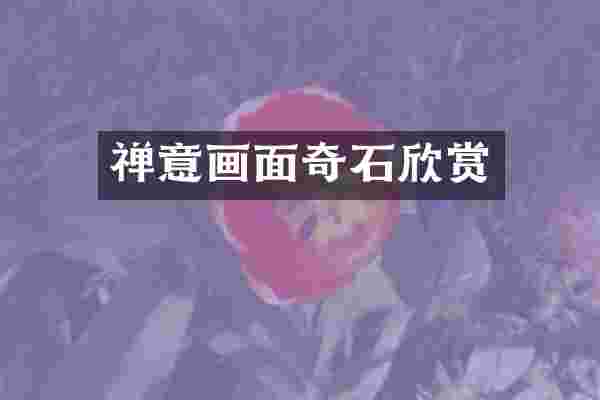 禅意画面奇石欣赏