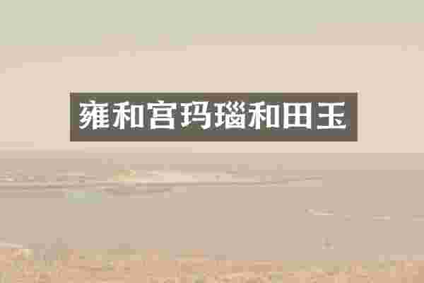 雍和宫玛瑙和田玉