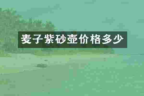 麦子紫砂壶价格多少