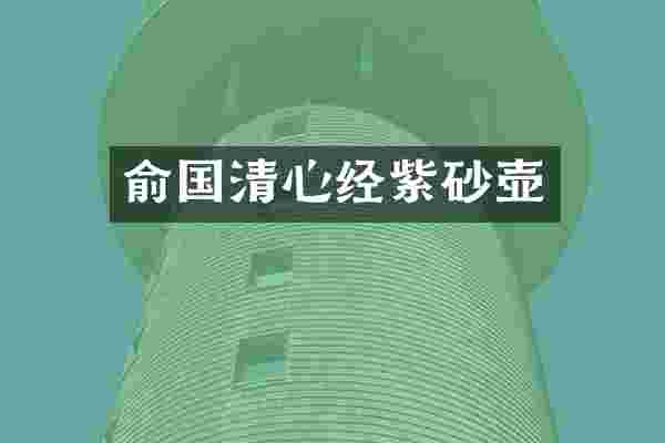 俞国清心经紫砂壶