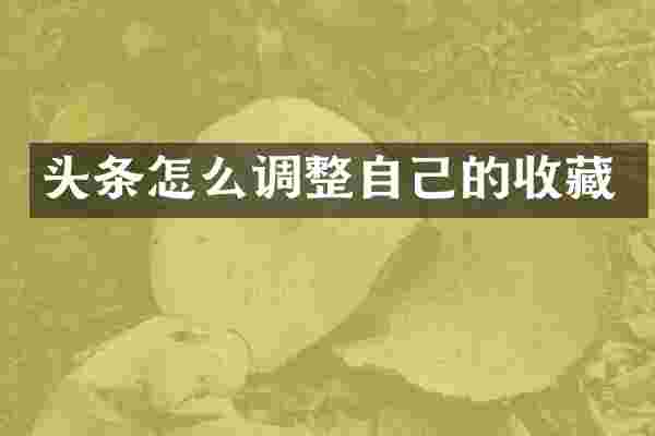 头条怎么调整自己的收藏
