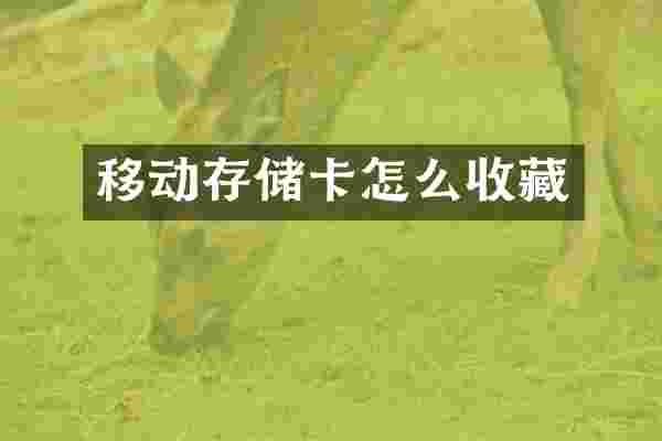 移动存储卡怎么收藏