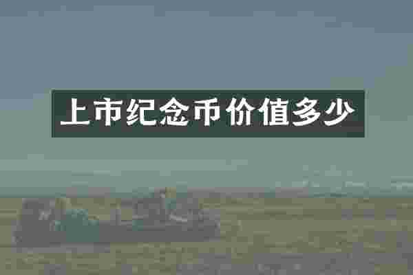 上市纪念币价值多少