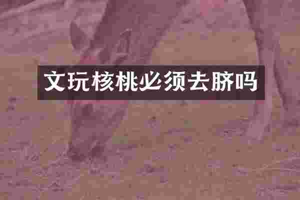 文玩核桃必须去脐吗