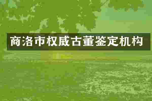 商洛市权威古董鉴定机构