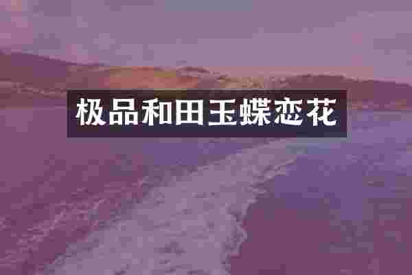 极品和田玉蝶恋花