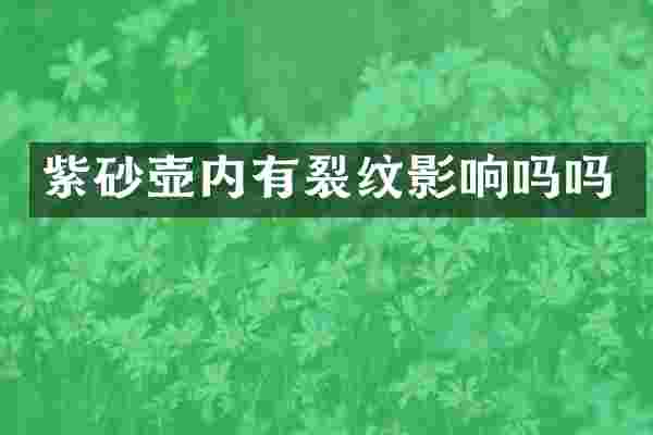 紫砂壶内有裂纹影响吗吗