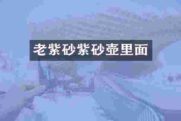 老紫砂紫砂壶里面