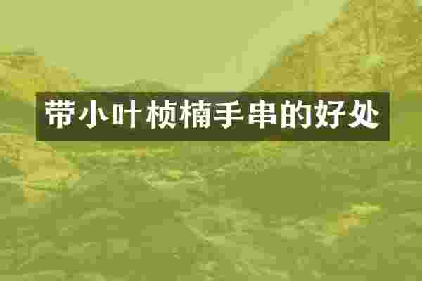 带小叶桢楠手串的好处