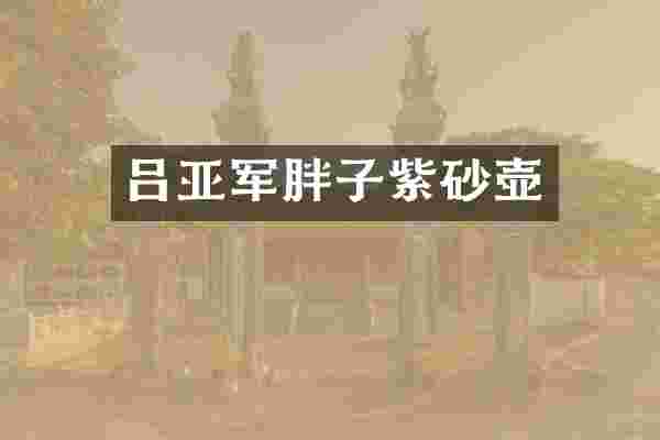 吕亚军胖子紫砂壶