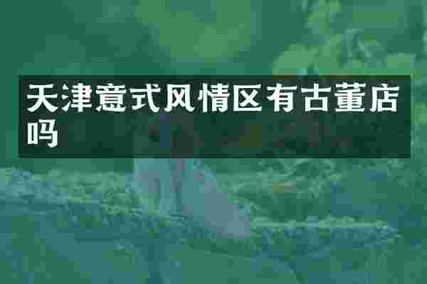 天津意式风情区有古董店吗