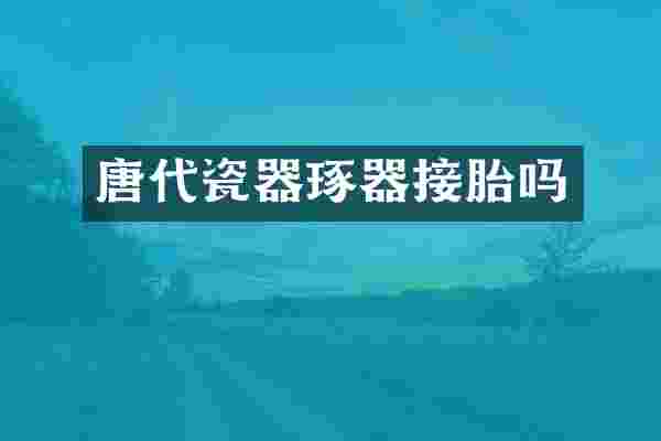唐代瓷器琢器接胎吗