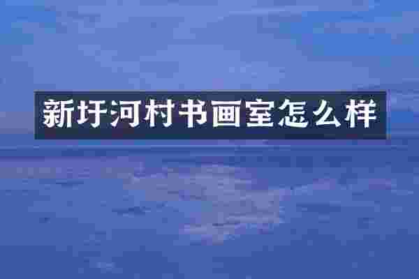 新圩河村书画室怎么样