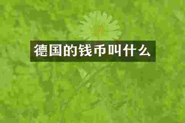 德国的钱币叫什么