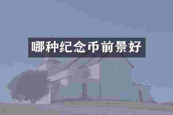 哪种纪念币前景好