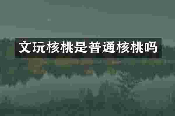 文玩核桃是普通核桃吗