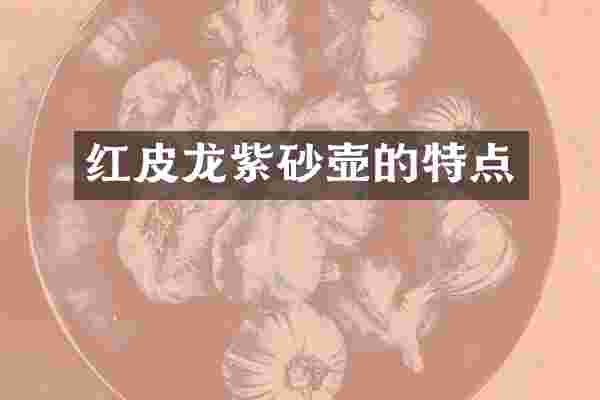 红皮龙紫砂壶的特点