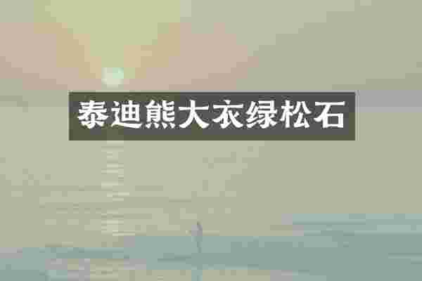 泰迪熊大衣绿松石