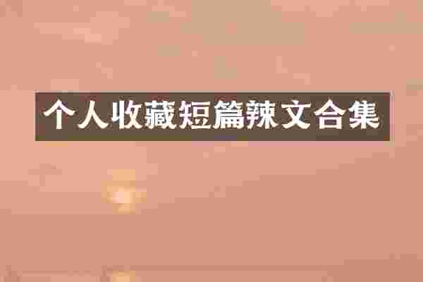 个人收藏短篇